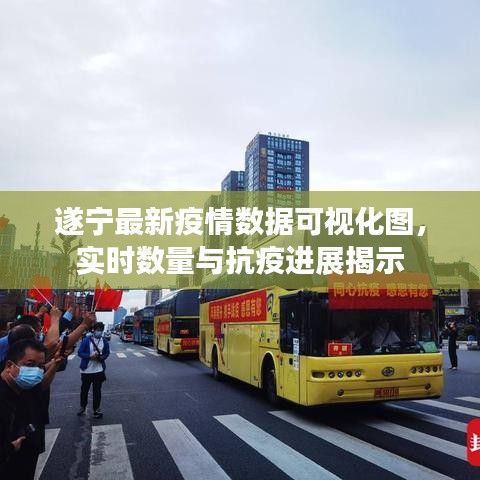 遂宁最新疫情数据可视化图，实时数量与抗疫进展揭示