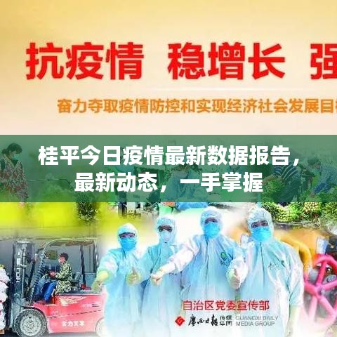 桂平今日疫情最新数据报告，最新动态，一手掌握