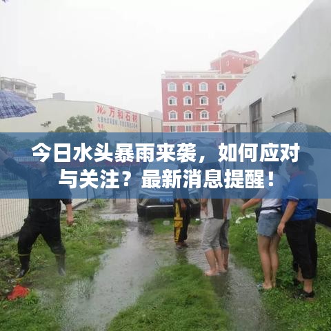 今日水头暴雨来袭，如何应对与关注？最新消息提醒！