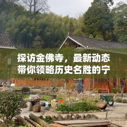 探访金佛寺，最新动态带你领略历史名胜的宁静与和谐