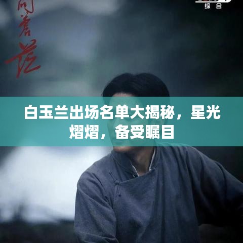 白玉兰出场名单大揭秘，星光熠熠，备受瞩目