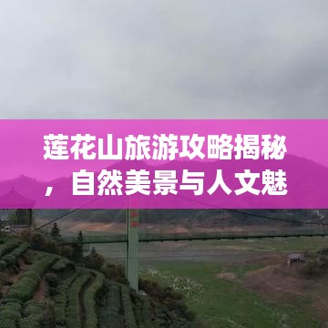 莲花山旅游攻略揭秘，自然美景与人文魅力双重探索之旅