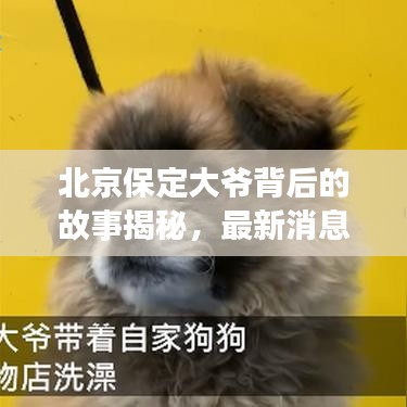 北京保定大爷背后的故事揭秘，最新消息速递