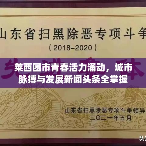 莱西团市青春活力涌动，城市脉搏与发展新闻头条全掌握