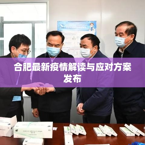 合肥最新疫情解读与应对方案发布