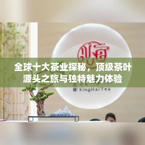 全球十大茶业探秘，顶级茶叶源头之旅与独特魅力体验