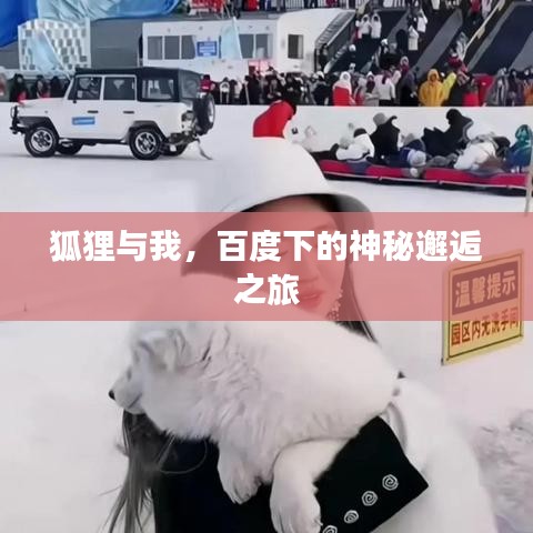 狐狸与我，百度下的神秘邂逅之旅