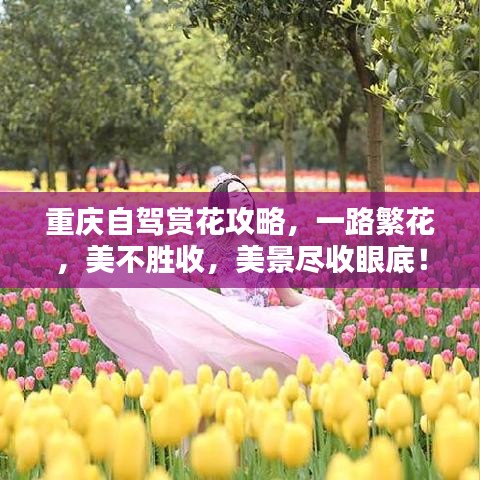 重庆自驾赏花攻略，一路繁花，美不胜收，美景尽收眼底！
