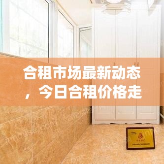 合租市场最新动态，今日合租价格走势深度解析