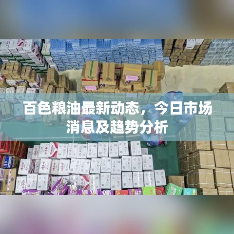 百色粮油最新动态，今日市场消息及趋势分析