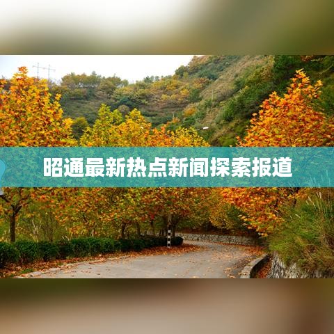 昭通最新热点新闻探索报道