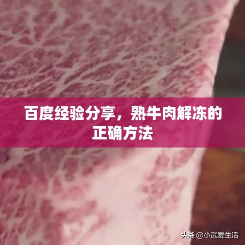 百度经验分享，熟牛肉解冻的正确方法