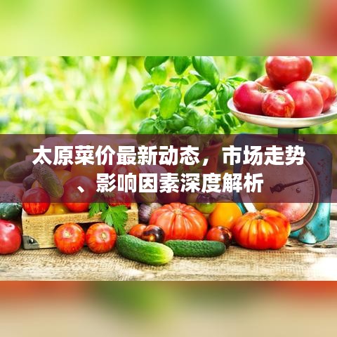 太原菜价最新动态，市场走势、影响因素深度解析