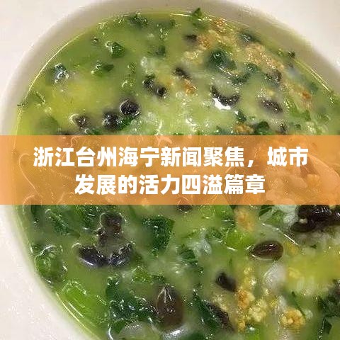 浙江台州海宁新闻聚焦，城市发展的活力四溢篇章