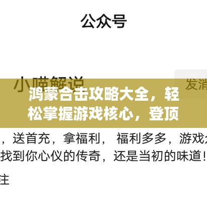 鸿蒙合击攻略大全，轻松掌握游戏核心，登顶巅峰不是梦！