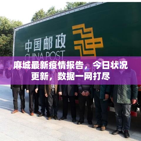 麻城最新疫情报告，今日状况更新，数据一网打尽