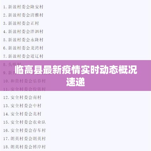 临高县最新疫情实时动态概况速递