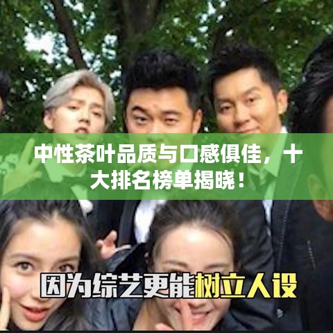 中性茶叶品质与口感俱佳，十大排名榜单揭晓！