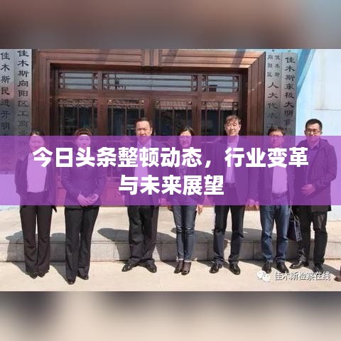 今日头条整顿动态，行业变革与未来展望