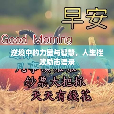 逆境中的力量与智慧，人生挫败励志语录