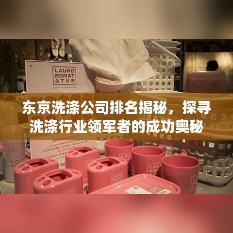 东京洗涤公司排名揭秘，探寻洗涤行业领军者的成功奥秘