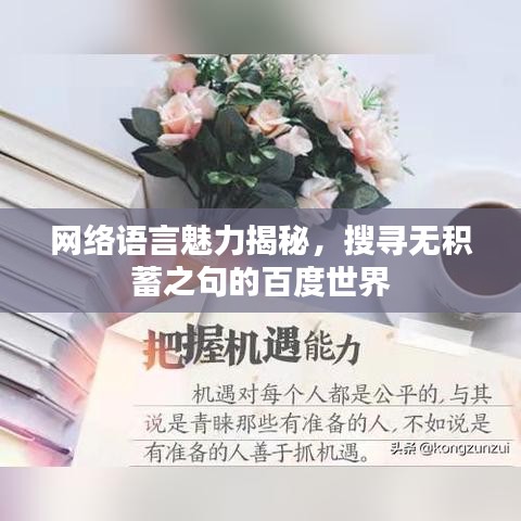 网络语言魅力揭秘，搜寻无积蓄之句的百度世界