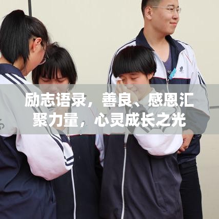 励志语录，善良、感恩汇聚力量，心灵成长之光