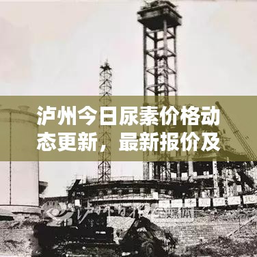 泸州今日尿素价格动态更新，最新报价及分析报告