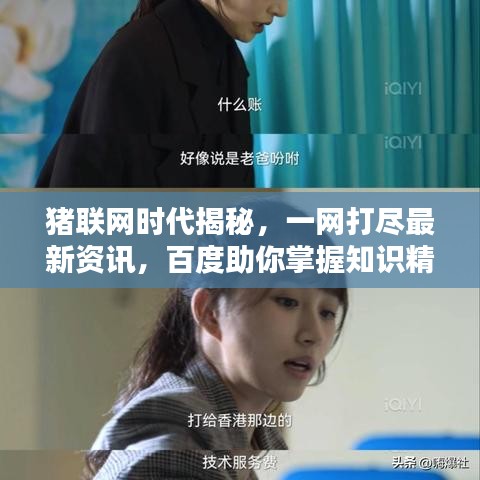猪联网时代揭秘，一网打尽最新资讯，百度助你掌握知识精华！