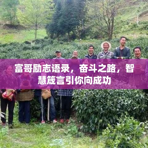富哥励志语录，奋斗之路，智慧箴言引你向成功