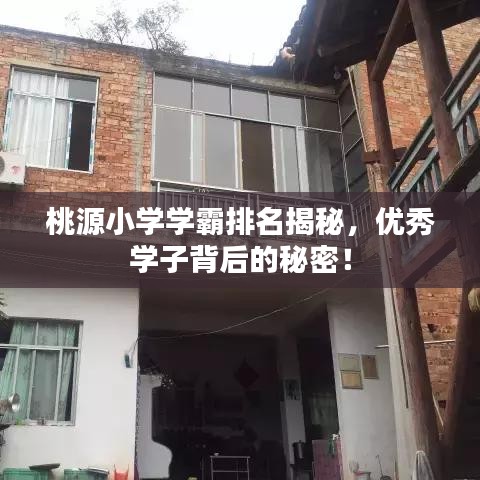 桃源小学学霸排名揭秘，优秀学子背后的秘密！