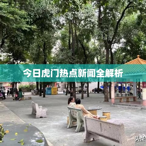 今日虎门热点新闻全解析