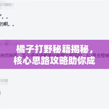 橘子打野秘籍揭秘，核心思路攻略助你成为顶尖打野王者！