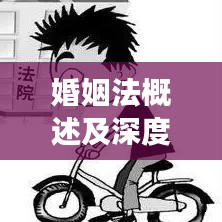 婚姻法概述及深度探讨，法律条文背后的故事与启示