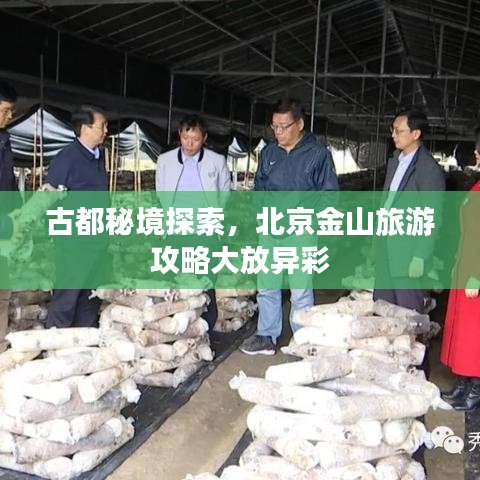古都秘境探索，北京金山旅游攻略大放异彩