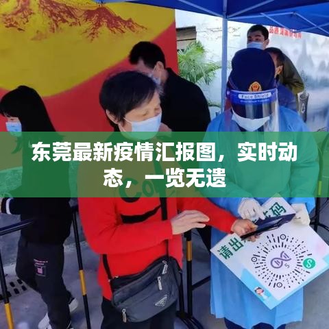 东莞最新疫情汇报图，实时动态，一览无遗