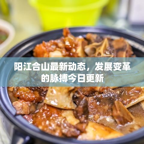 阳江合山最新动态，发展变革的脉搏今日更新