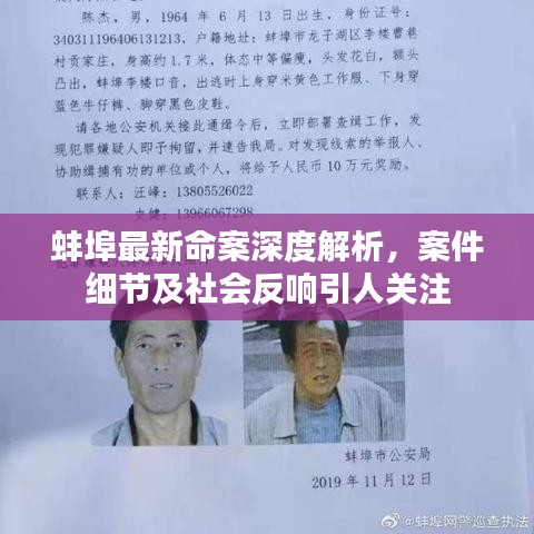 蚌埠最新命案深度解析，案件细节及社会反响引人关注