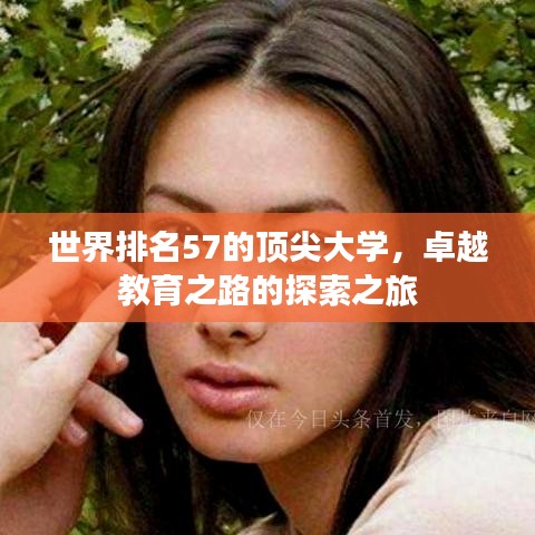 世界排名57的顶尖大学，卓越教育之路的探索之旅