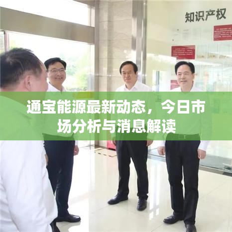 通宝能源最新动态，今日市场分析与消息解读