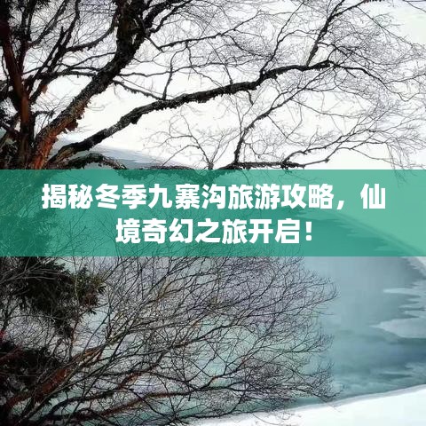 揭秘冬季九寨沟旅游攻略，仙境奇幻之旅开启！
