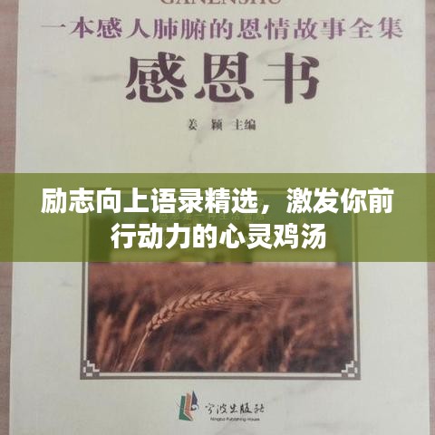 励志向上语录精选，激发你前行动力的心灵鸡汤