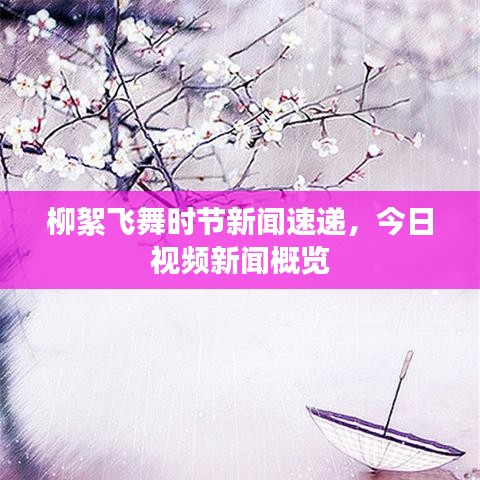 柳絮飞舞时节新闻速递，今日视频新闻概览