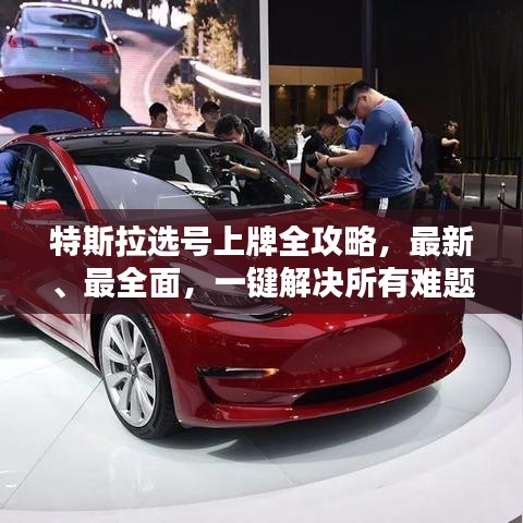 特斯拉选号上牌全攻略，最新、最全面，一键解决所有难题！