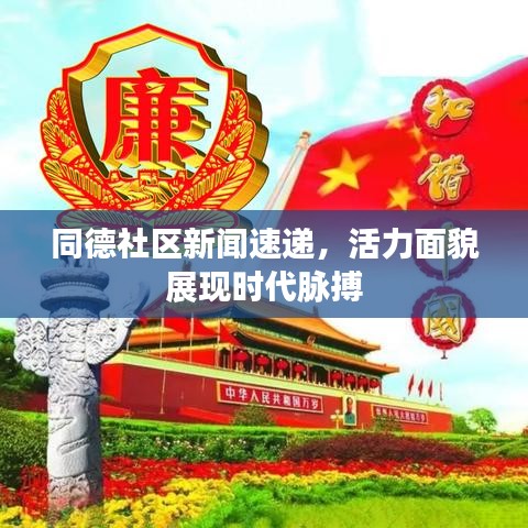 同德社区新闻速递，活力面貌展现时代脉搏