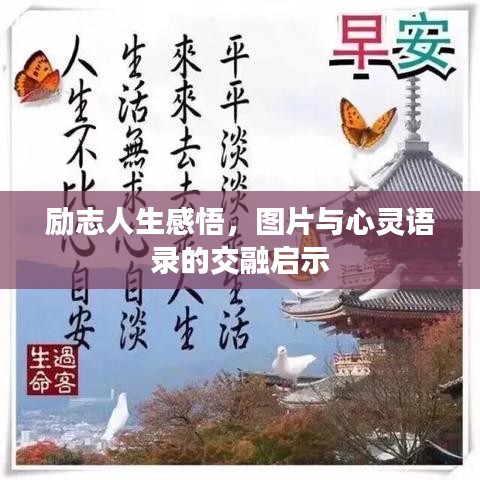 励志人生感悟，图片与心灵语录的交融启示