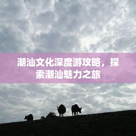 潮汕文化深度游攻略，探索潮汕魅力之旅