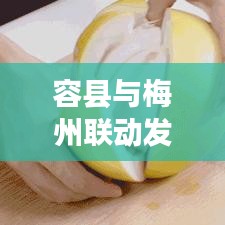 容县与梅州联动发展，新闻头条下的合作新篇章