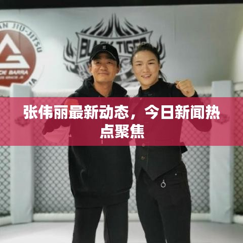 张伟丽最新动态，今日新闻热点聚焦