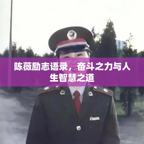 陈薇励志语录，奋斗之力与人生智慧之道